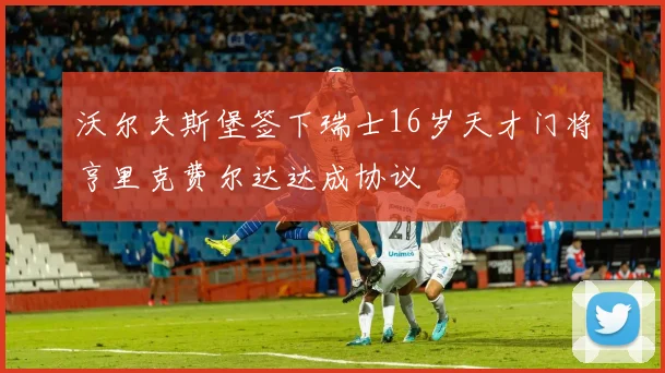 沃尔夫斯堡签下瑞士16岁天才门将亨里克费尔达达成协议